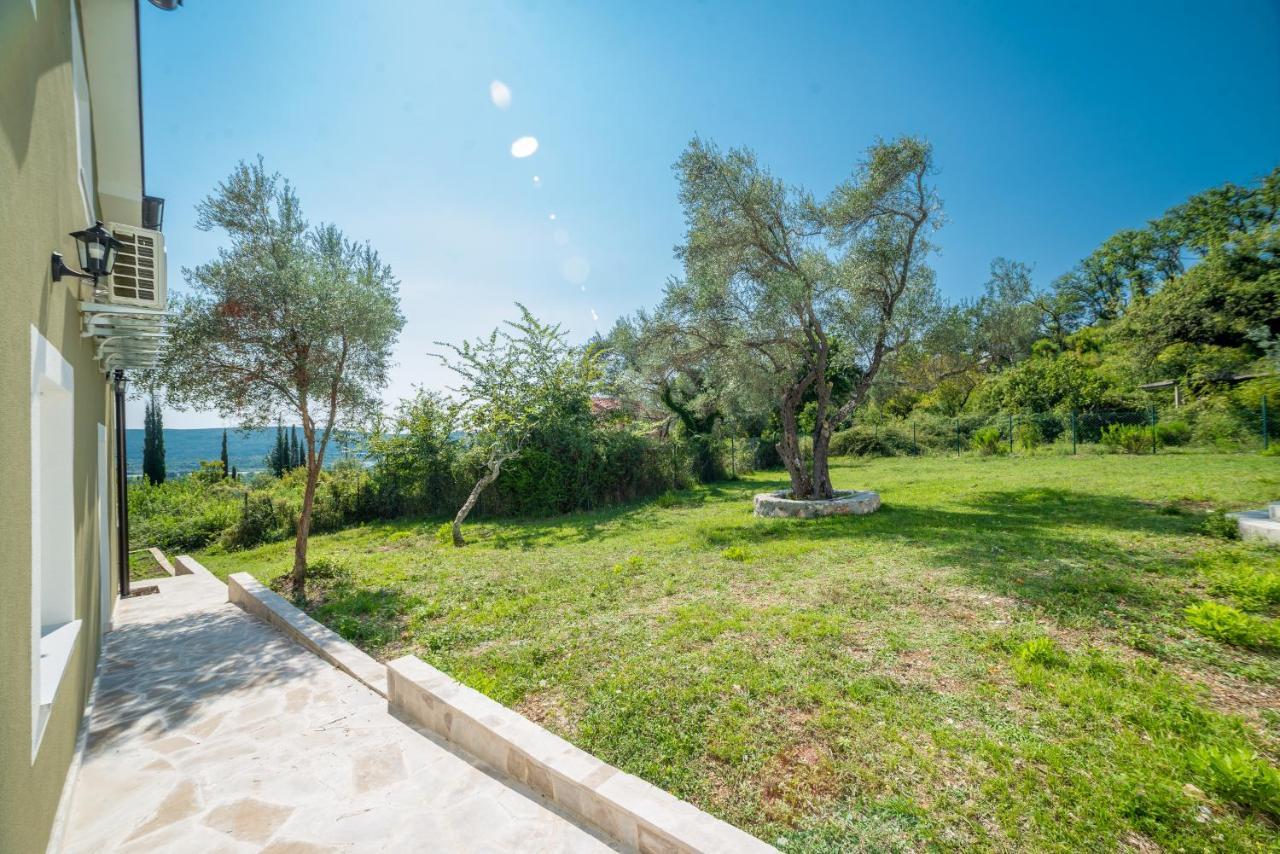 Maslinova Gora Tivat
