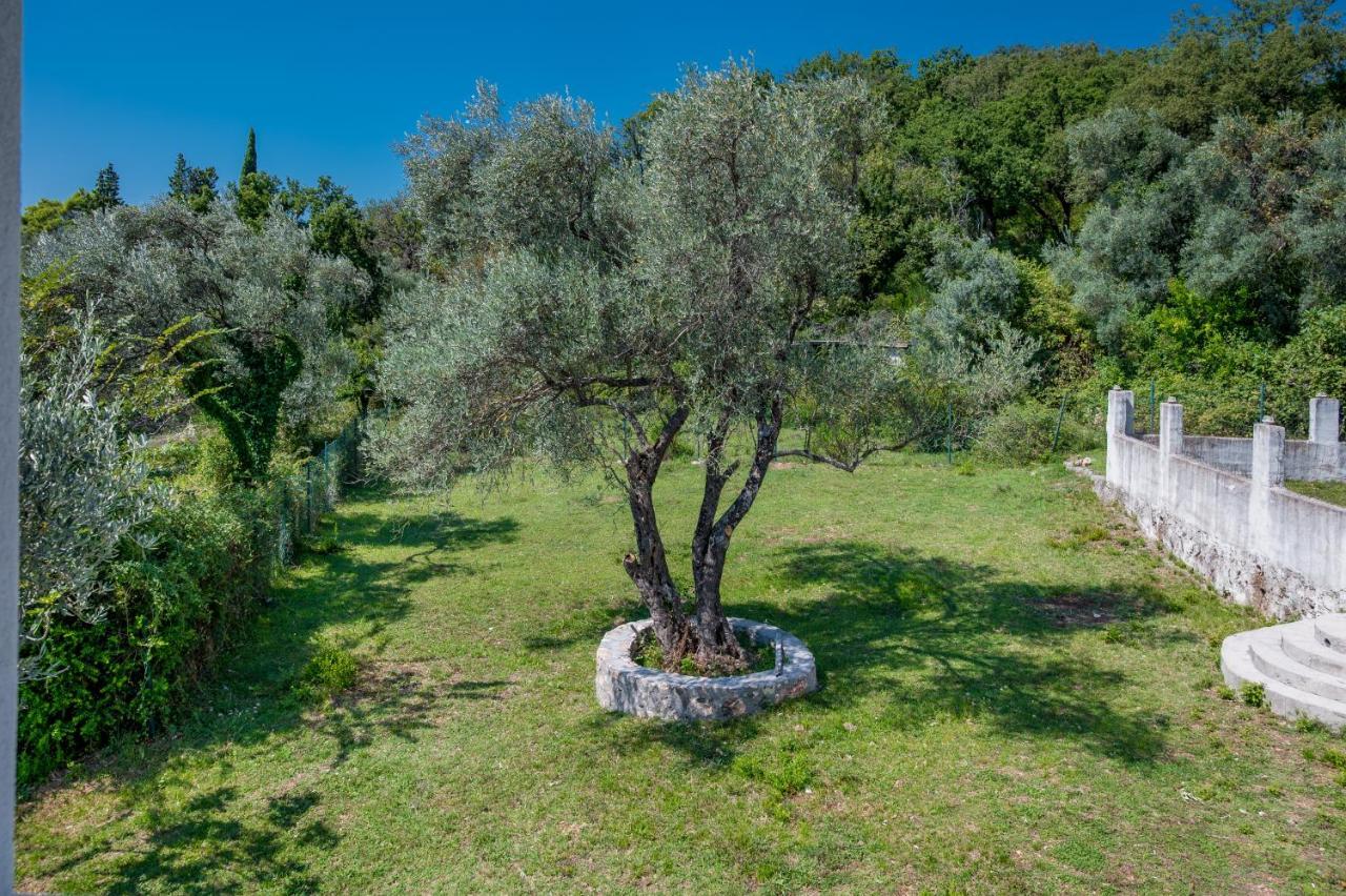 Appartement Maslinova Gora Tivat
